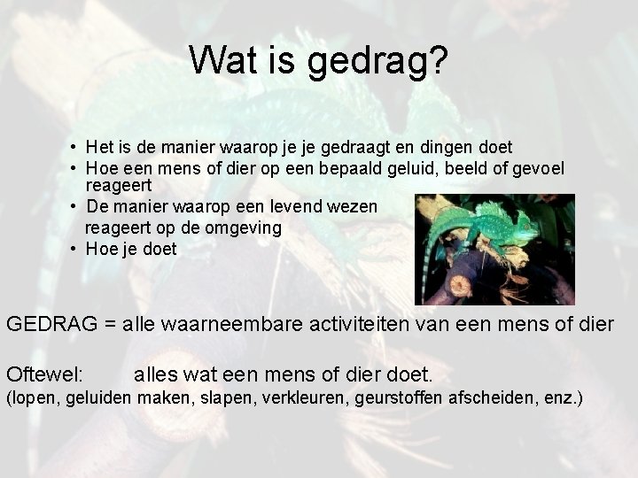 Wat is gedrag? • Het is de manier waarop je je gedraagt en dingen