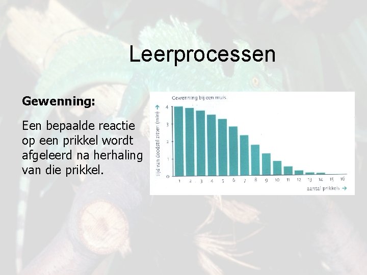 Leerprocessen Gewenning: Een bepaalde reactie op een prikkel wordt afgeleerd na herhaling van die