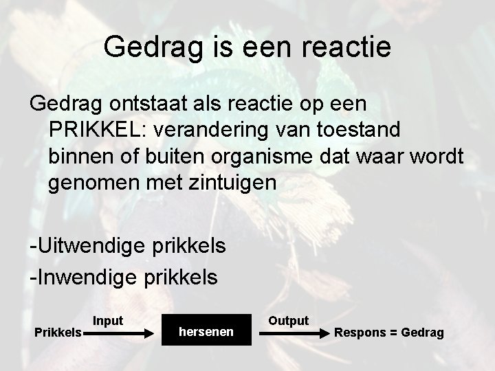 Gedrag is een reactie Gedrag ontstaat als reactie op een PRIKKEL: verandering van toestand