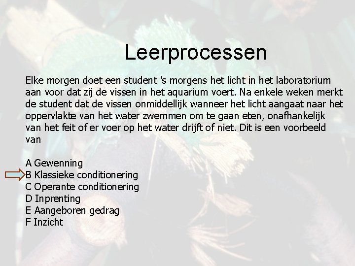 Leerprocessen Elke morgen doet een student 's morgens het licht in het laboratorium aan