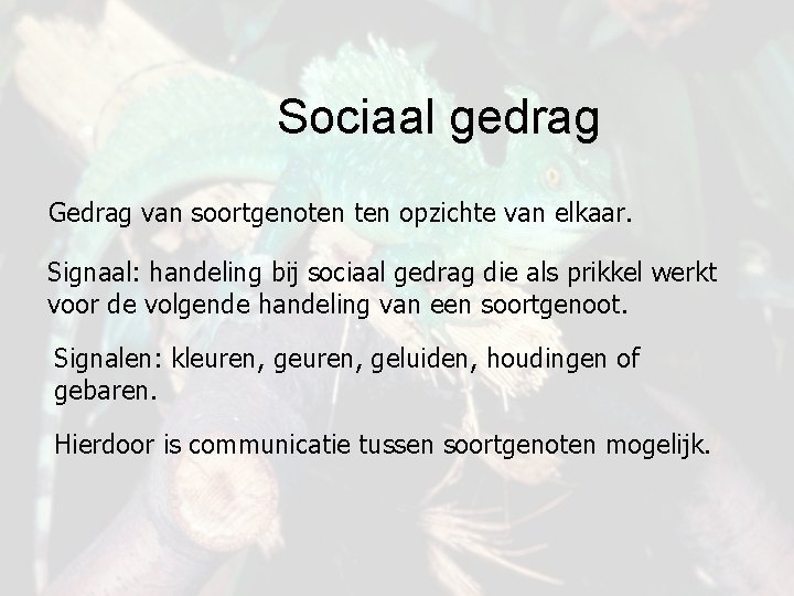 Sociaal gedrag Gedrag van soortgenoten opzichte van elkaar. Signaal: handeling bij sociaal gedrag die