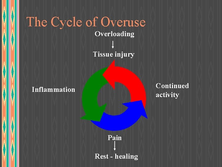 The Cycle of Overuse Overloading Tissue injury Continued activity Inflammation Pain Rest - healing