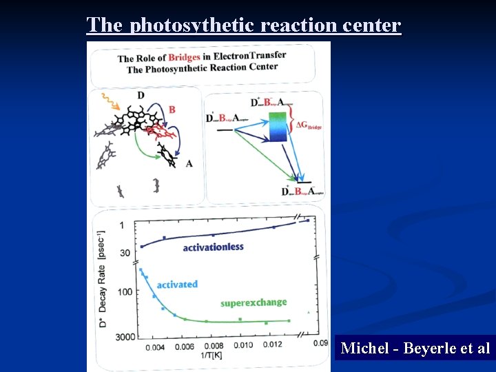 The photosythetic reaction center Michel - Beyerle et al The photosythetic reaction center Michel - Beyerle et al