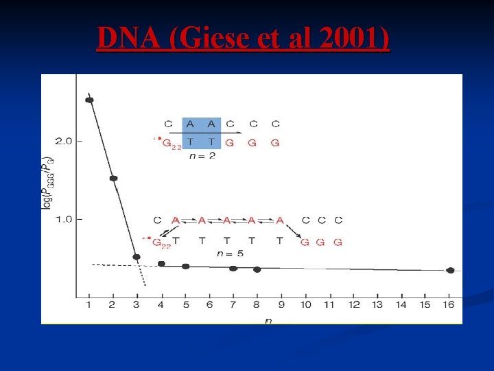 DNA (Giese et al 2001) DNA (Giese et al 2001)