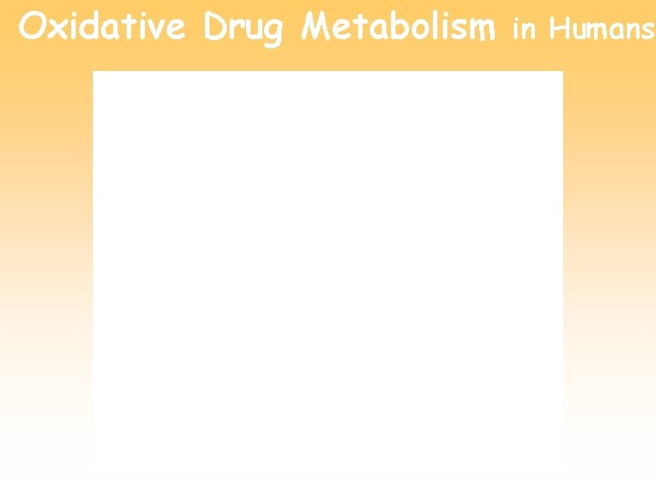 Oxidative Drug Metabolism in Humans 