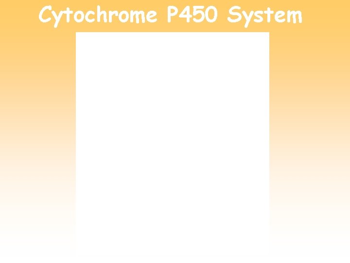 Cytochrome P 450 System 