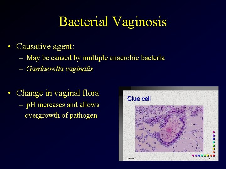 Bacterial Vaginosis • Causative agent: – May be caused by multiple anaerobic bacteria –
