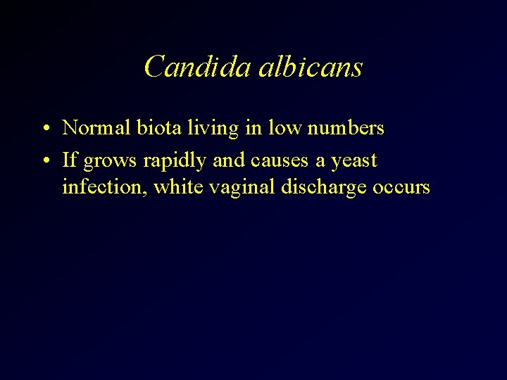 Candida albicans • Normal biota living in low numbers • If grows rapidly and