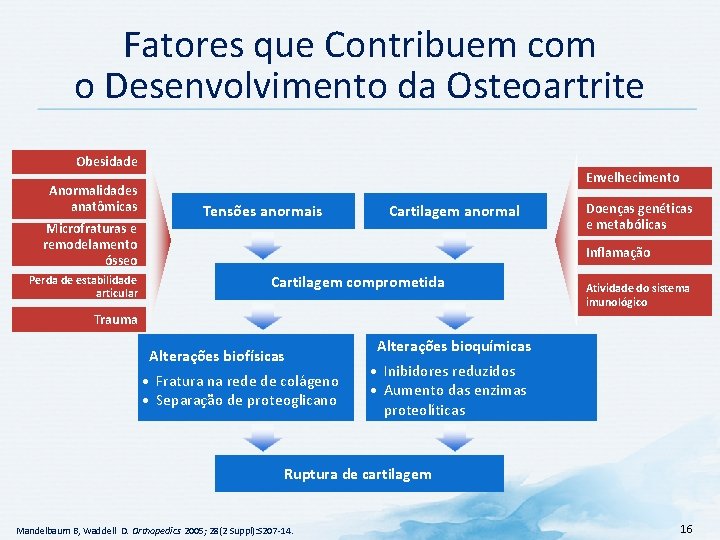 Fatores que Contribuem com o Desenvolvimento da Osteoartrite Obesidade Anormalidades anatômicas Microfraturas e remodelamento