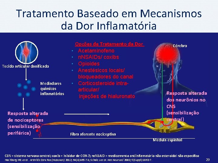 Tratamento Baseado em Mecanismos da Dor Inflamatória Tecido articular danificado Mediadores químicos inflamatórios Resposta