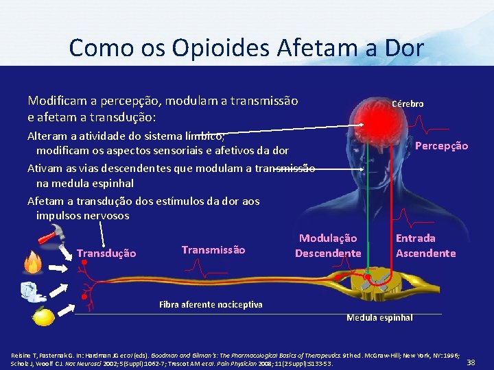Como os Opioides Afetam a Dor Modificam a percepção, modulam a transmissão e afetam