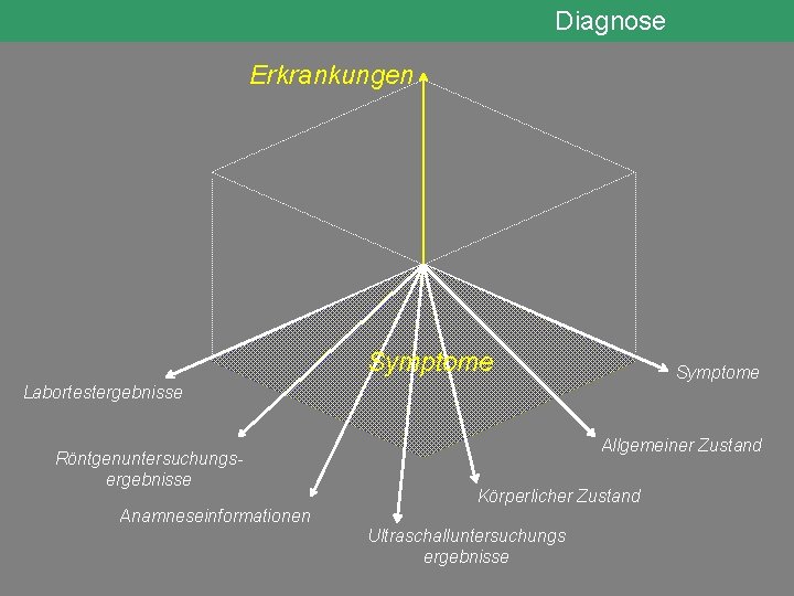 Diagnose Erkrankungen Symptome Labortestergebnisse Röntgenuntersuchungsergebnisse Allgemeiner Zustand Körperlicher Zustand Anamneseinformationen Ultraschalluntersuchungs ergebnisse 