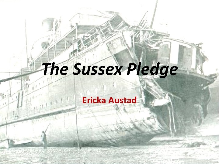 The Sussex Pledge Ericka Austad 