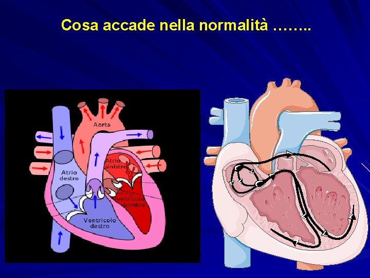 Cosa accade nella normalità ……. . Cosa accade nella normalità ……. .