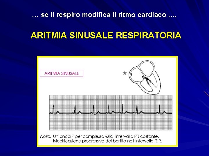 … se il respiro modifica il ritmo cardiaco …. ARITMIA SINUSALE RESPIRATORIA 