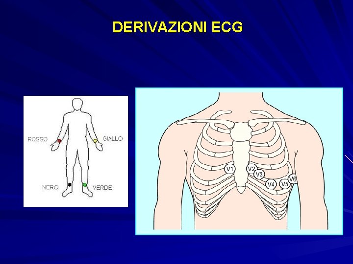 DERIVAZIONI ECG 