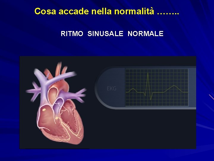 Cosa accade nella normalità ……. . RITMO SINUSALE NORMALE 