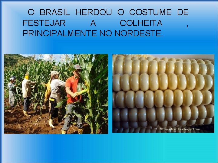 O BRASIL HERDOU O COSTUME DE FESTEJAR A COLHEITA , PRINCIPALMENTE NO NORDESTE. 