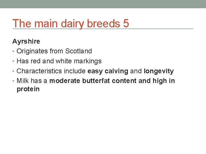 The main dairy breeds 5 Ayrshire • Originates from Scotland • Has red and