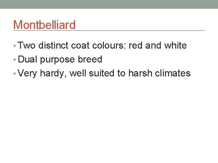 Montbelliard • Two distinct coat colours: red and white • Dual purpose breed •