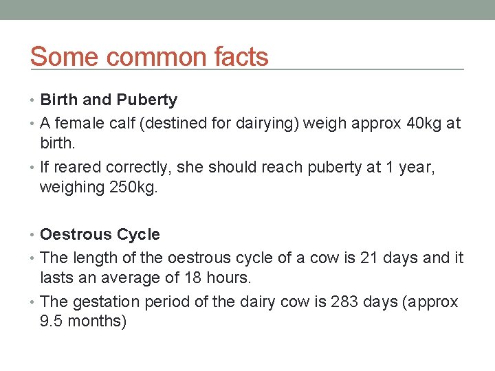 Some common facts • Birth and Puberty • A female calf (destined for dairying)