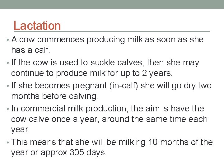 Lactation • A cow commences producing milk as soon as she has a calf.