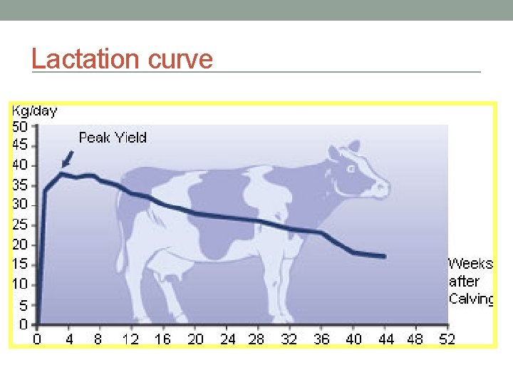 Lactation curve 