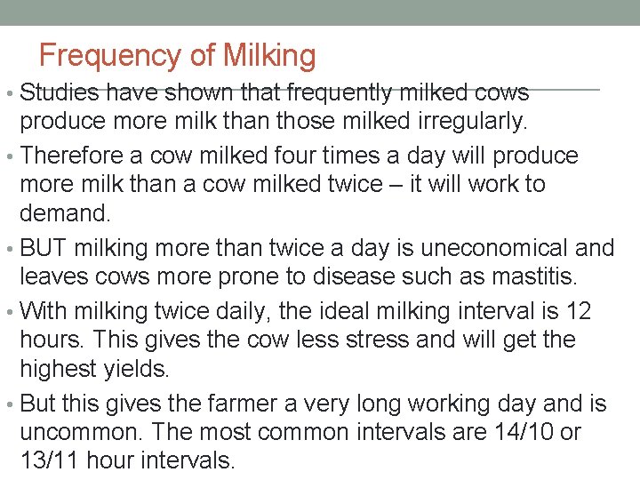 Frequency of Milking • Studies have shown that frequently milked cows produce more milk