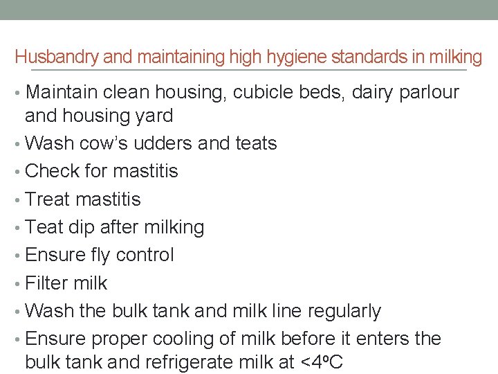 Husbandry and maintaining high hygiene standards in milking • Maintain clean housing, cubicle beds,