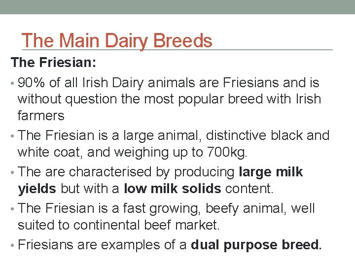 The Main Dairy Breeds The Friesian: • 90% of all Irish Dairy animals are