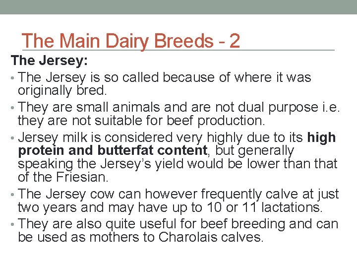 The Main Dairy Breeds - 2 The Jersey: • The Jersey is so called