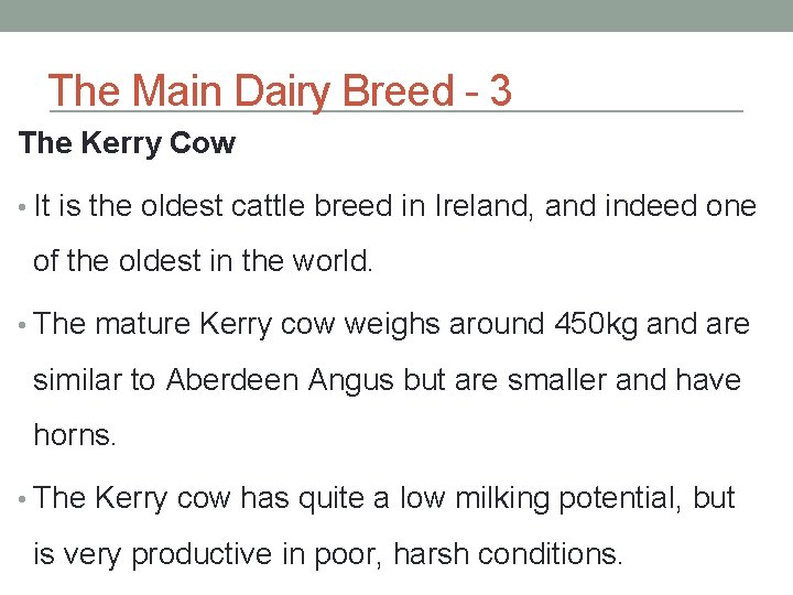 The Main Dairy Breed - 3 The Kerry Cow • It is the oldest