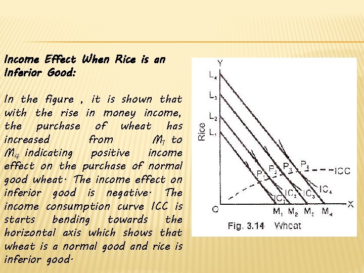 Income Effect When Rice is an Inferior Good: In the figure , it is