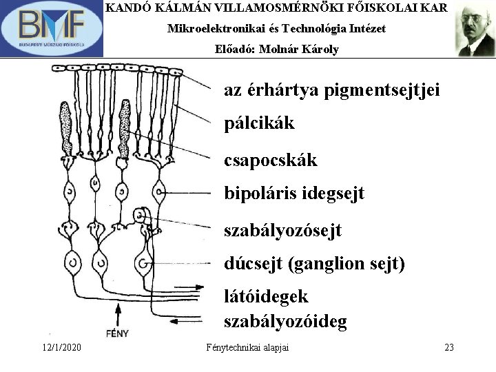 KANDÓ KÁLMÁN VILLAMOSMÉRNÖKI FŐISKOLAI KAR Mikroelektronikai és Technológia Intézet Előadó: Molnár Károly az érhártya