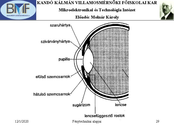 KANDÓ KÁLMÁN VILLAMOSMÉRNÖKI FŐISKOLAI KAR Mikroelektronikai és Technológia Intézet Előadó: Molnár Károly AKKOMODÁCIÓ 12/1/2020