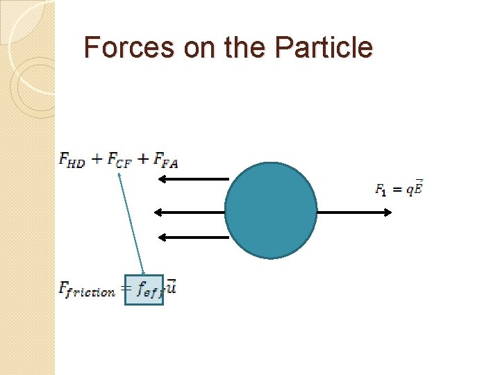 Forces on the Particle 