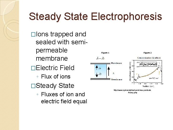 Steady State Electrophoresis �Ions trapped and sealed with semipermeable membrane �Electric Field ◦ Flux