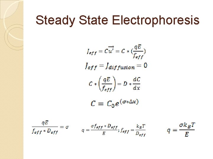 Steady State Electrophoresis 