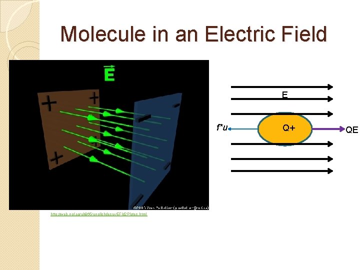 Molecule in an Electric Field E f*u http: //web. ncf. ca/ch 865/englishdescr/EFld 2 Plates.