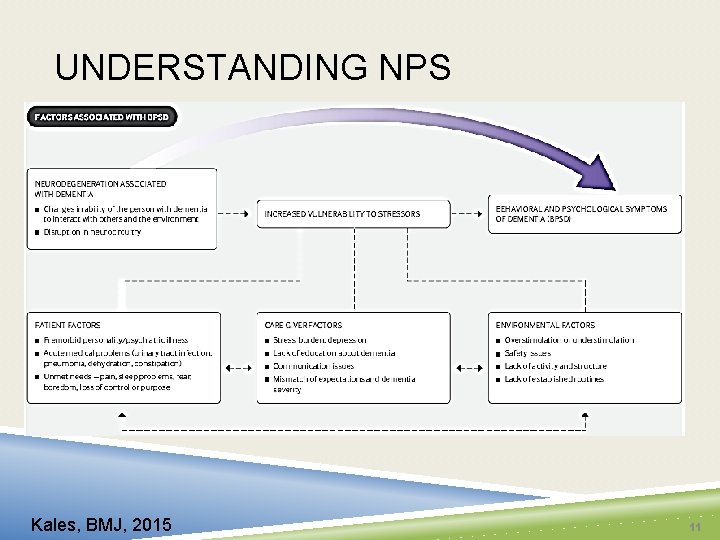 UNDERSTANDING NPS Kales, BMJ, 2015 11 