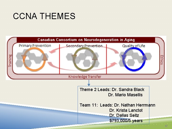 CCNA THEMES Theme 2 Leads: Dr. Sandra Black Dr. Mario Masellis Team 11: Leads: