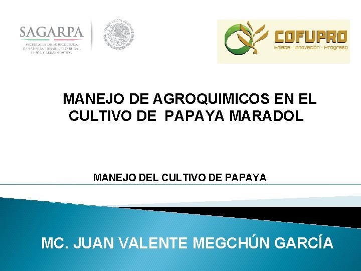MANEJO DE AGROQUIMICOS EN EL CULTIVO DE PAPAYA MARADOL MANEJO DEL CULTIVO DE PAPAYA