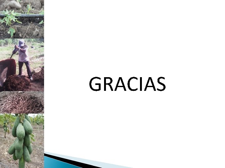 GRACIAS 