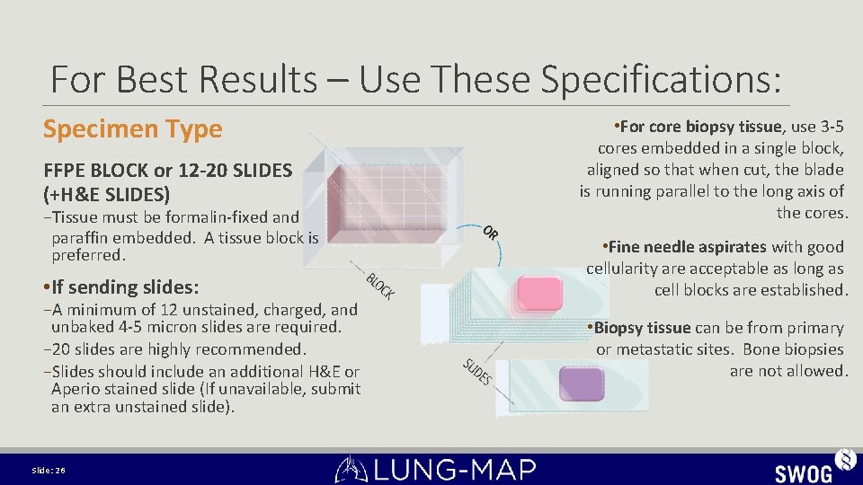 For Best Results – Use These Specifications: Specimen Type FFPE BLOCK or 12 -20 For Best Results – Use These Specifications: Specimen Type FFPE BLOCK or 12 -20