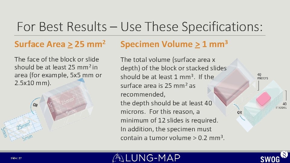 For Best Results – Use These Specifications: Surface Area > 25 mm 2 Specimen For Best Results – Use These Specifications: Surface Area > 25 mm 2 Specimen