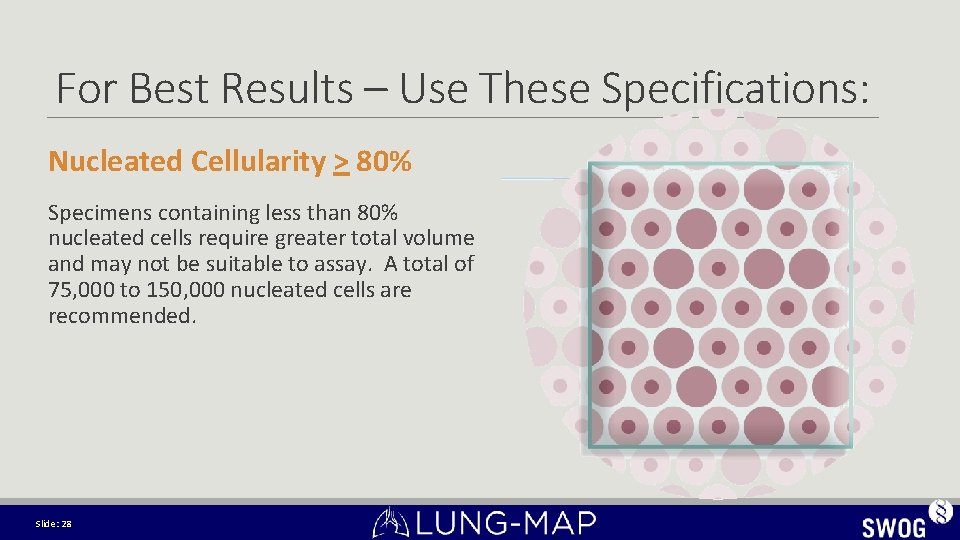 For Best Results – Use These Specifications: Nucleated Cellularity > 80% Specimens containing less For Best Results – Use These Specifications: Nucleated Cellularity > 80% Specimens containing less