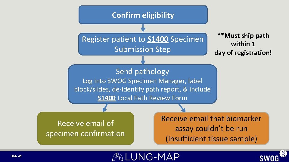 Confirm eligibility Register patient to S 1400 Specimen Submission Step **Must ship path within Confirm eligibility Register patient to S 1400 Specimen Submission Step **Must ship path within