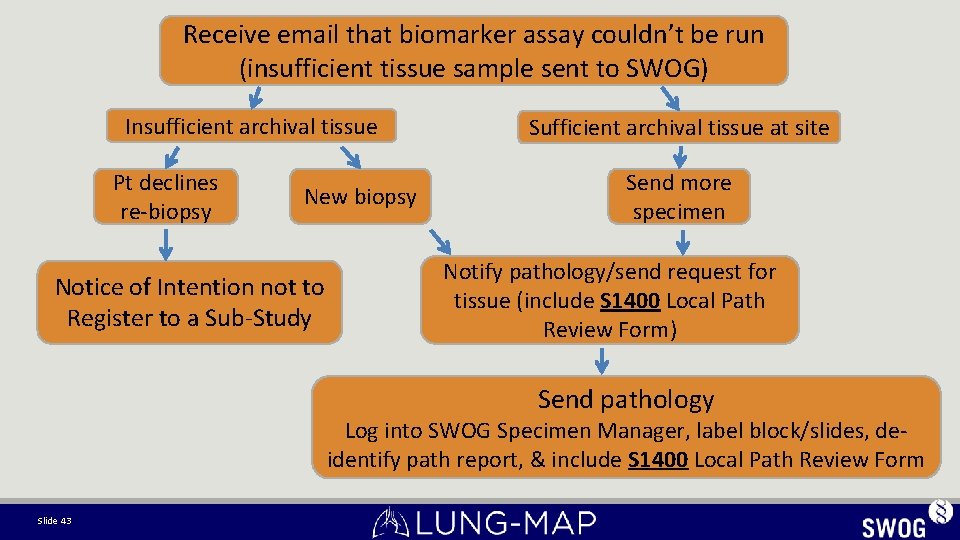 Receive email that biomarker assay couldn’t be run (insufficient tissue sample sent to SWOG) Receive email that biomarker assay couldn’t be run (insufficient tissue sample sent to SWOG)