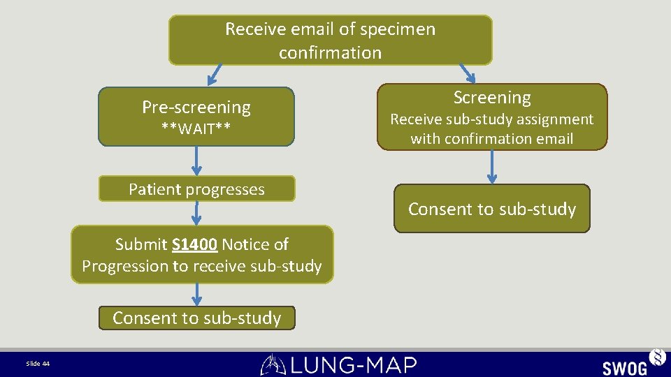 Receive email of specimen confirmation Pre-screening **WAIT** Patient progresses Submit S 1400 Notice of Receive email of specimen confirmation Pre-screening **WAIT** Patient progresses Submit S 1400 Notice of