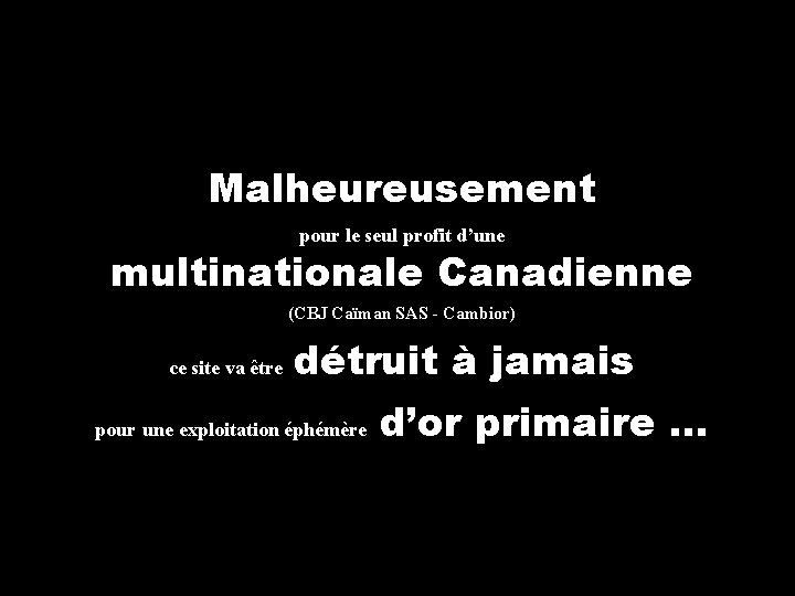 Malheureusement pour le seul profit d’une multinationale Canadienne (CBJ Caïman SAS - Cambior) ce